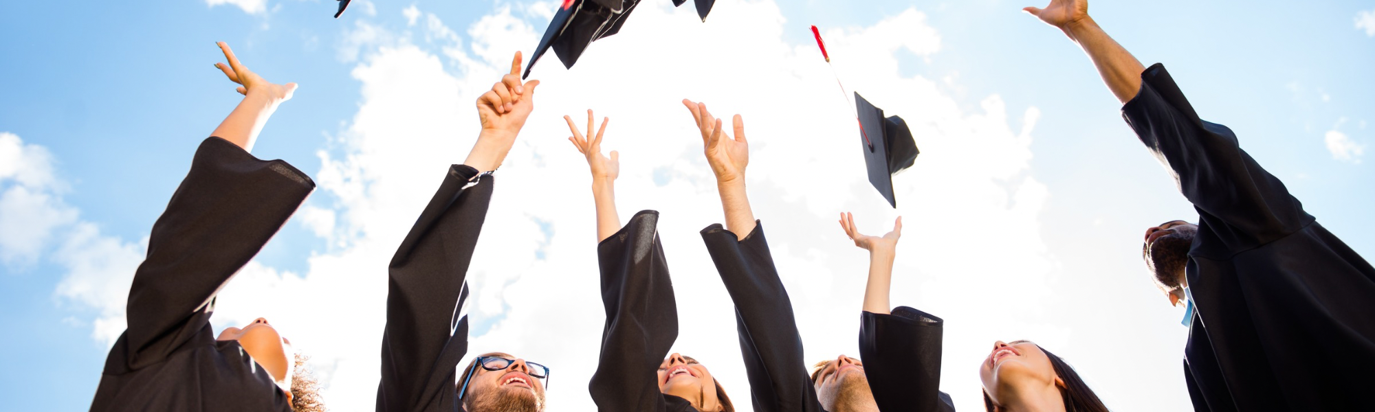 Summarizing long text into clear bullet points